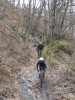 Felsentrail